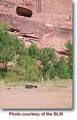 Tn-moab-campground-echo