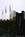 InterContinental Houston::ZoomAndGo