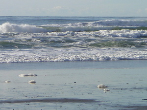 Ocean Beach::Static1.bareka.com