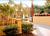 Sirata Beach Resort::Hotels.com