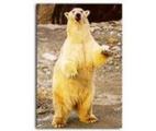 Point Defiance Zoo and Aquarium