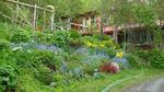 Brigitte's Bavarian Bed & Breakfast