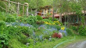Brigitte's Bavarian Bed & Breakfast::TripAdvisor