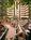 Holiday Inn Springdale::Orbitz