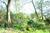 Redfern Farm BnB on Puget Island::BedAndBreakfast.com