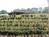 Mercier Orchards from Farm2.static.flickr.com