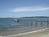 A Little Inn on Pleasant Bay::BedAndBreakfast.com