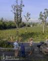 Mango Sunset BnB at Lyman Farms