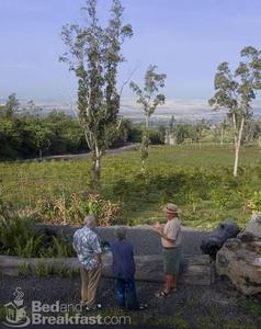 Mango Sunset BnB at Lyman Farms::BedAndBreakfast.com