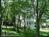 River House Inn::BedAndBreakfast.com