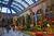 Bellagio Fountains::ZoomAndGo