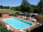 Best Western Spring Hill Inn & Suites