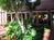 Omni Charlottesville Hotel::tripadvisor
