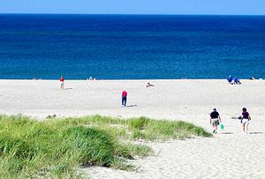 Web-race_point_beach_provincetown_cape_cod_425_2