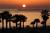 Capistrano Beach Resort::Priceline.com