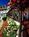 The Fairmont Algonquin::Expedia