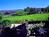 Shady Oaks Country Inn::Hotels.com