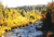 SECLUDED GUEST RANCH ON PRIVATE LAKE IN THE SHASTA NATIONAL FOREST from PetFriendly.com