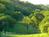 Seven Quails Vineyards Bed and Breakfast::BedAndBreakfast.com