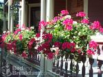 Bella Rose Bed & Breakfast