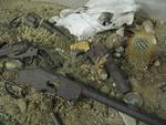 Cody Dug Up Gun Museum