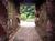Harvest Inn, a Joie de Vivre Boutique Hotel::Hotels.com