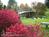 The Banner Elk Inn B&B and Cottages::BedAndBreakfast.com