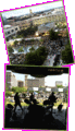 Gallivan Center