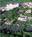 Inverrary Vacation Resort::Hotels.com