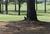 Cuscowilla Golf Resort On Lake Oconee::Priceline.com