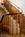 Brampton Inn::BedAndBreakfast.com