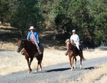 Cow Mountain Recreation Area