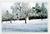 A Haven of Rest Bed & Breakfast::BedAndBreakfast.com