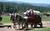 Greenhorn Creek Guest Ranch::CiaoBambino