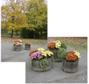 Helen Avalynne Tawes Garden