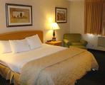 Comfort Inn South