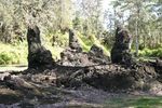 Tn-250px-lavatreestatemonument