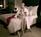 Hotel ZaZa - Houston::ProfessionalTravelGuide.com