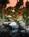 Paradise Point Resort and Spa from Orbitz