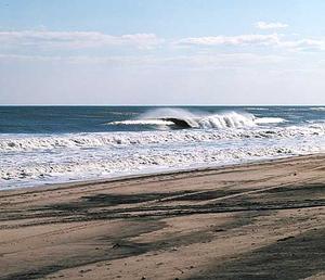 Main Beach::Surfline.com