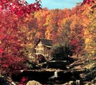 Tn-fallbabcock