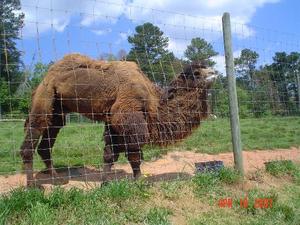 Chestatee Wildlife Preserve::Media-cdn.tripadvisor.com