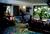 Dragonfly Ranch::InnSite.com