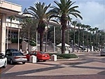 Tampa Convention Center