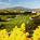 Courtyard by Marriott Pleasanton::Orbitz