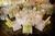 Holiday Inn East Syracuse::Orbitz