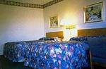 Tn-19007_7_b