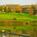 Doral Arrowwood::Hotels.com