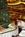 Lake Arrowhead Resort::Travelocity.com
