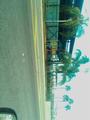 Jackie Robinson park